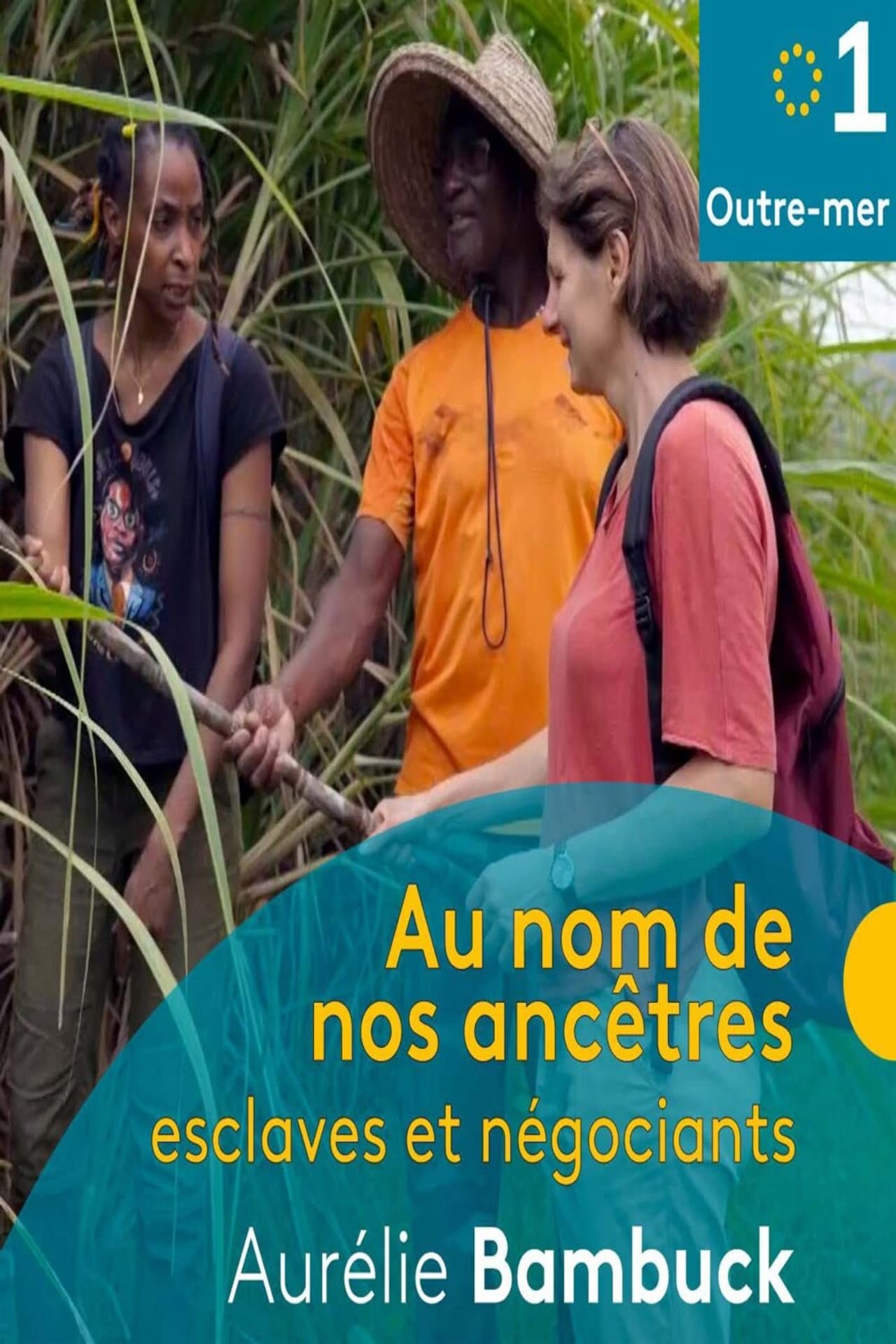 Au nom de nos ancêtres, esclaves et négociants preview 1