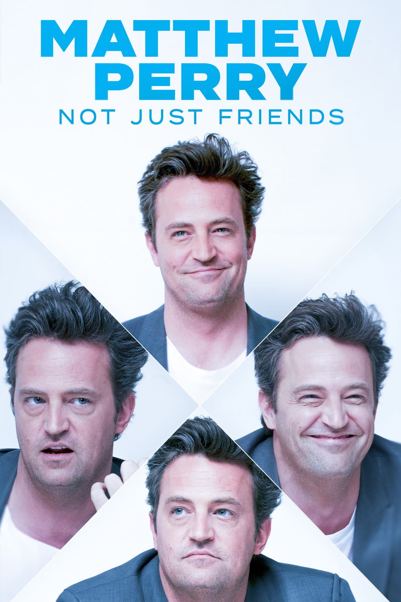 Matthew Perry: Not Just Friends preview 2