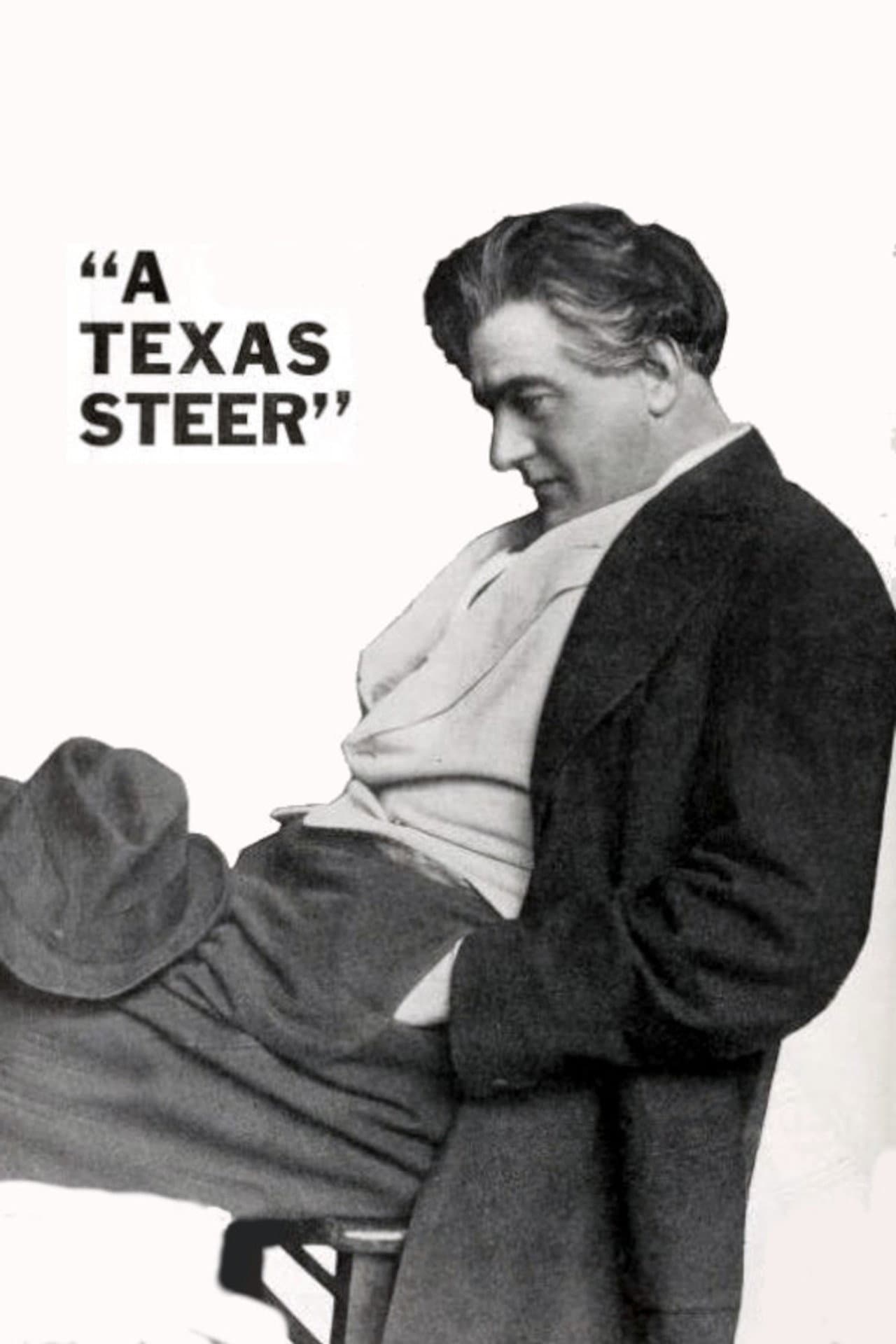 A Texas Steer preview 1