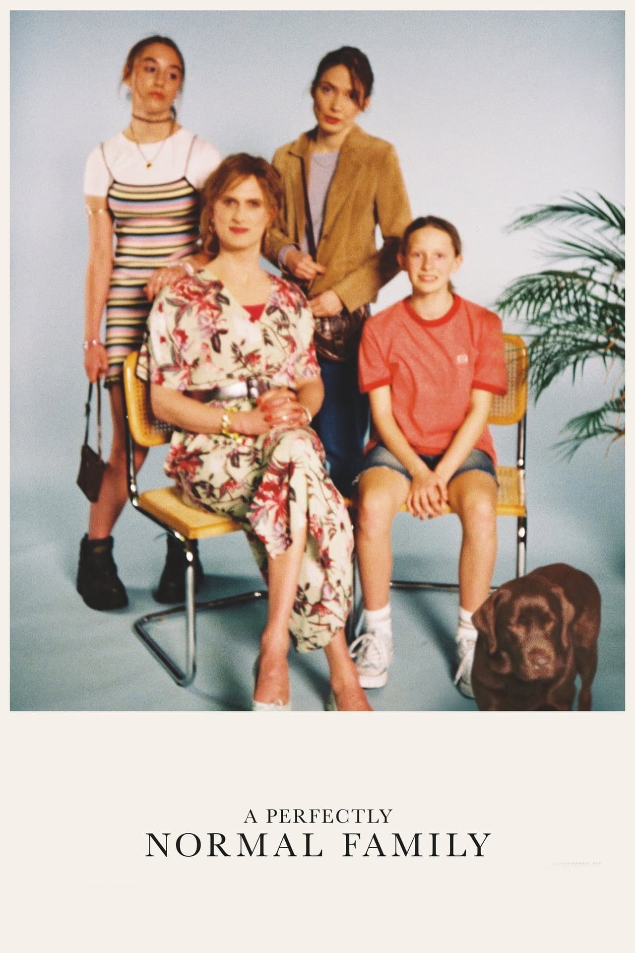 A Perfectly Normal Family preview 2