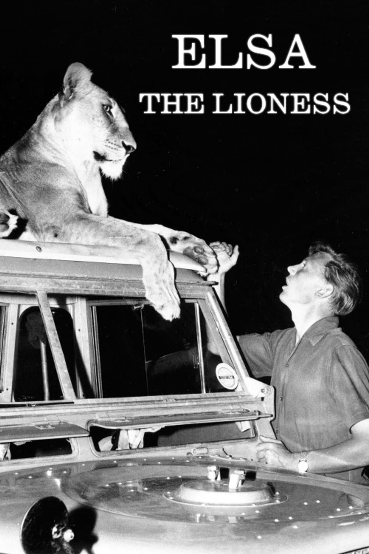 Elsa the Lioness preview 1