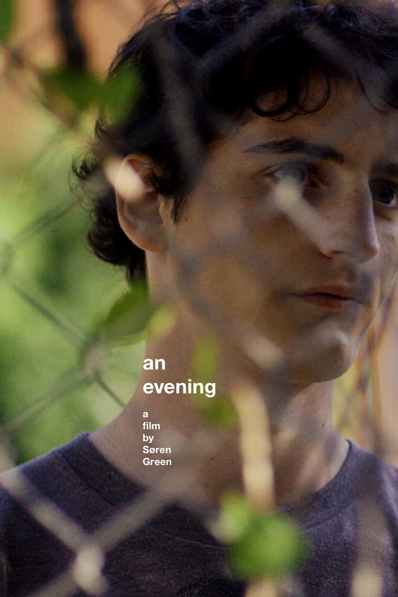 An Evening preview 2