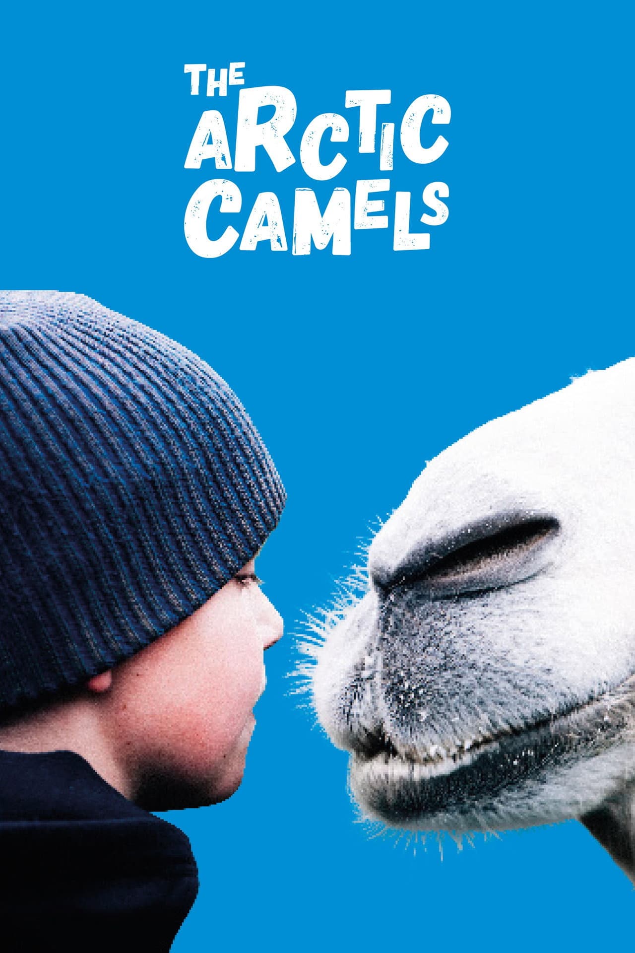 The Arctic Camels preview 2