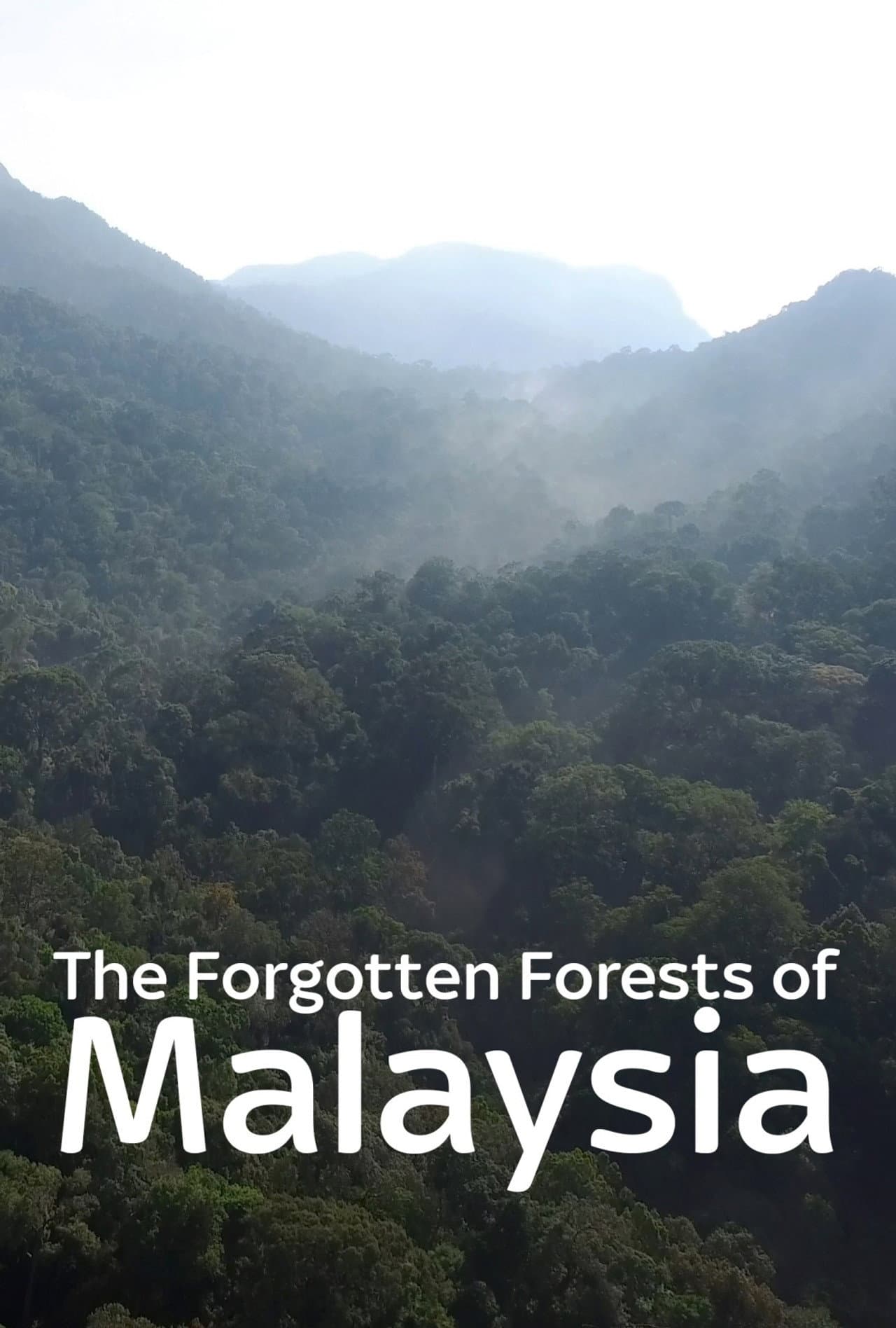 The Forgotten Forests of Malaysia preview 2