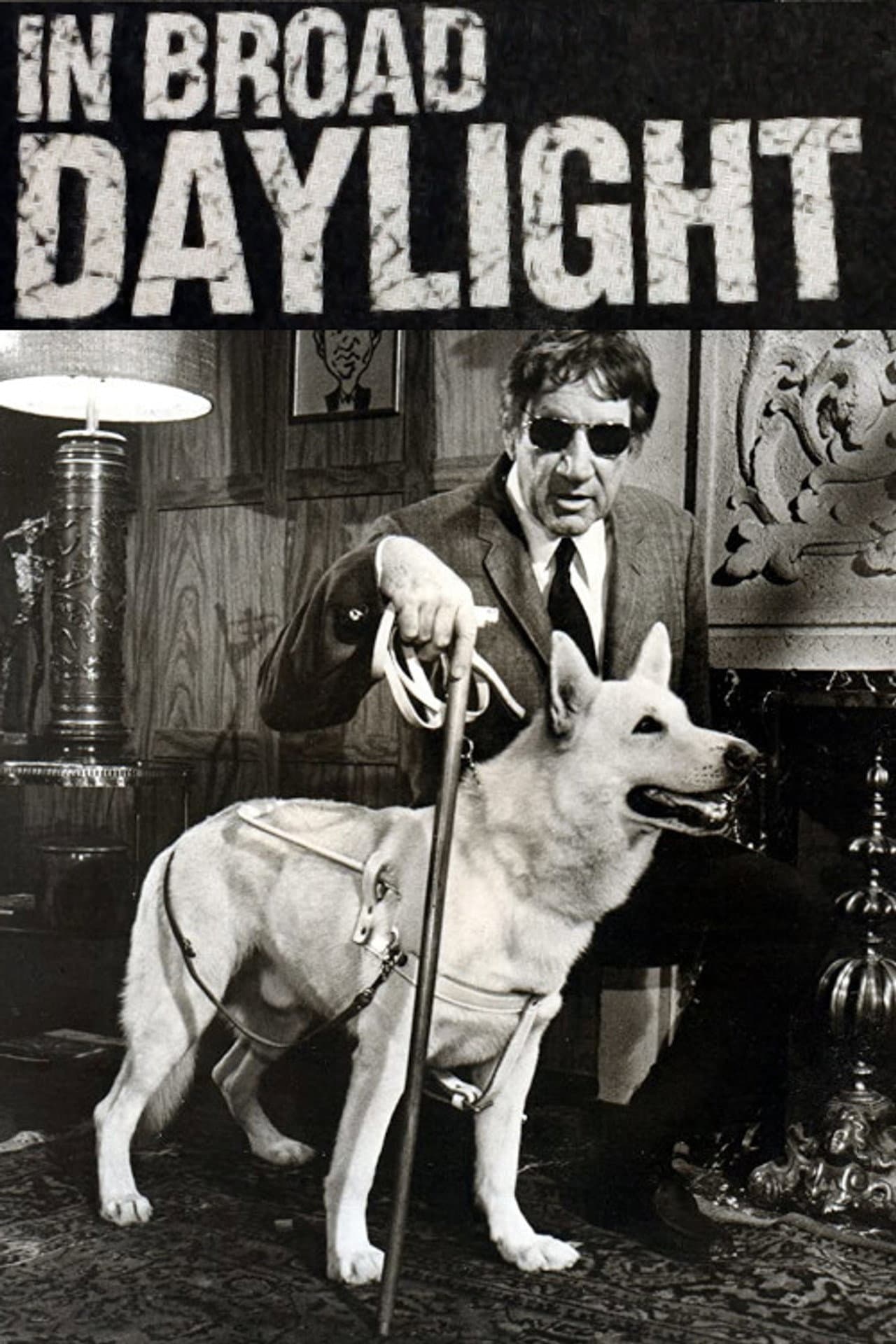In Broad Daylight preview 2