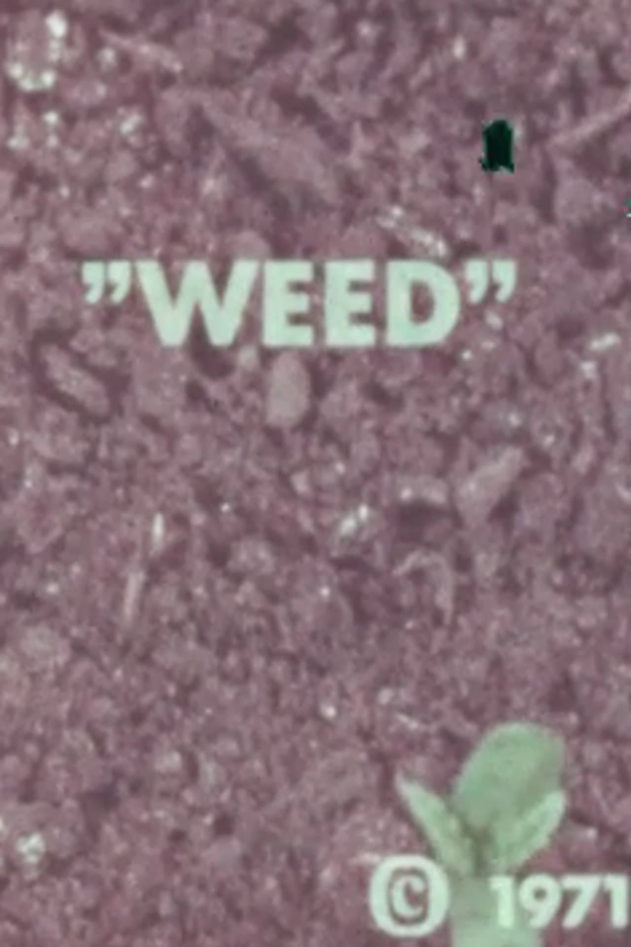 WEED preview 1