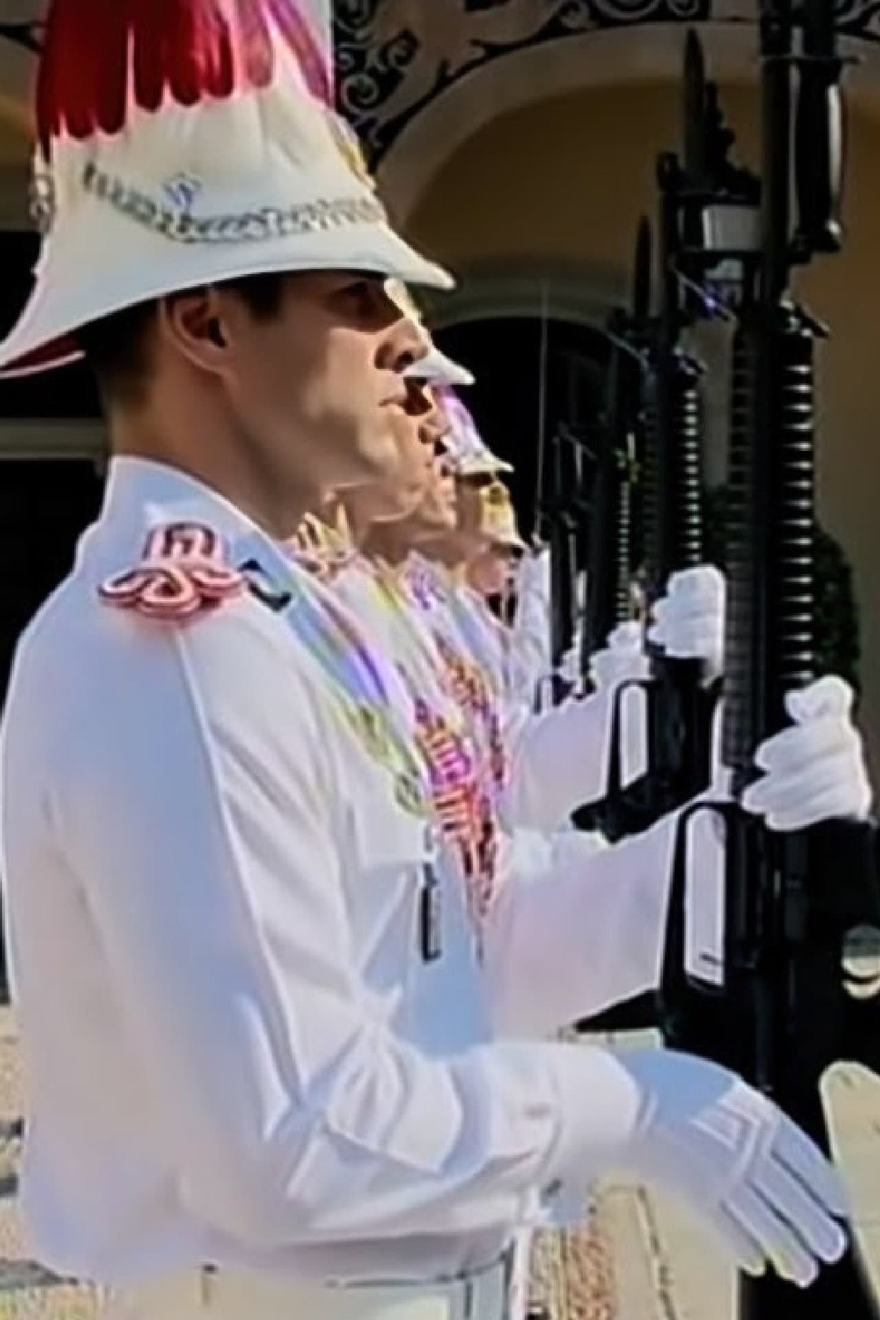 Privacy And Power: A Year In The Life Of Prince Albert Of Monaco preview 1