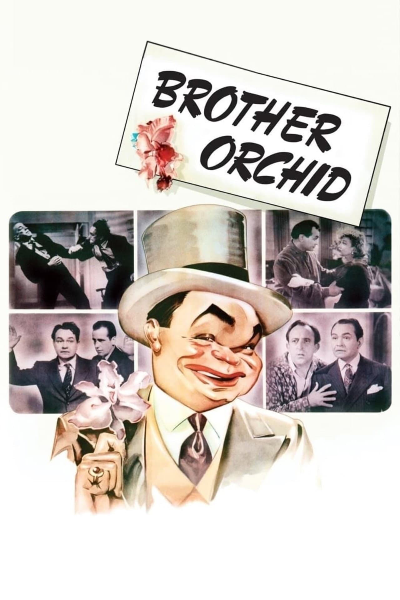 Brother Orchid preview 2