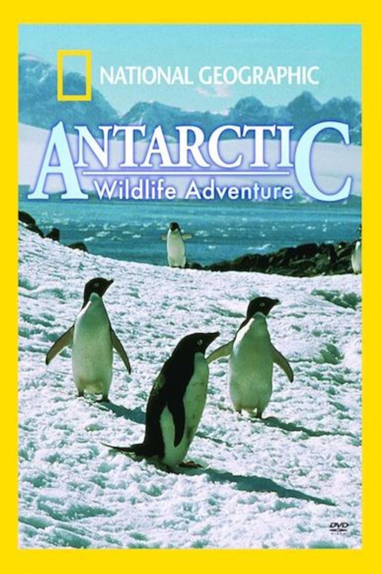 Antarctic Wildlife Adventure preview 1