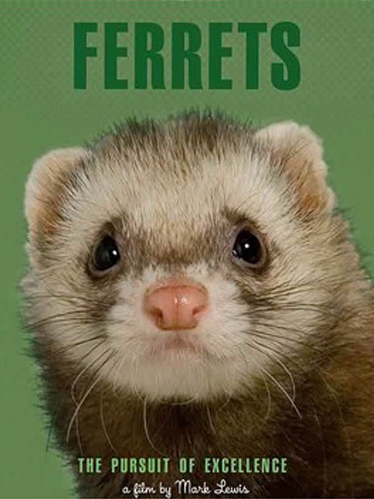 Ferrets preview 1