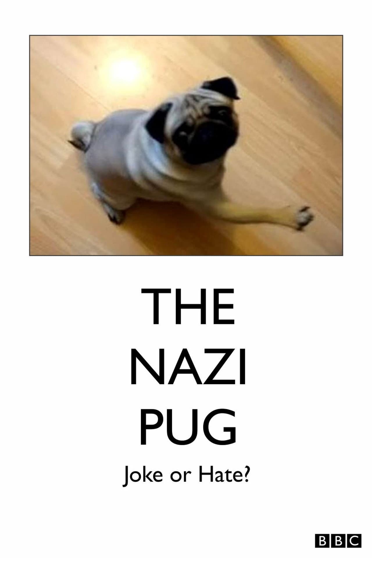 The Nazi Pug: Joke or Hate? preview 1