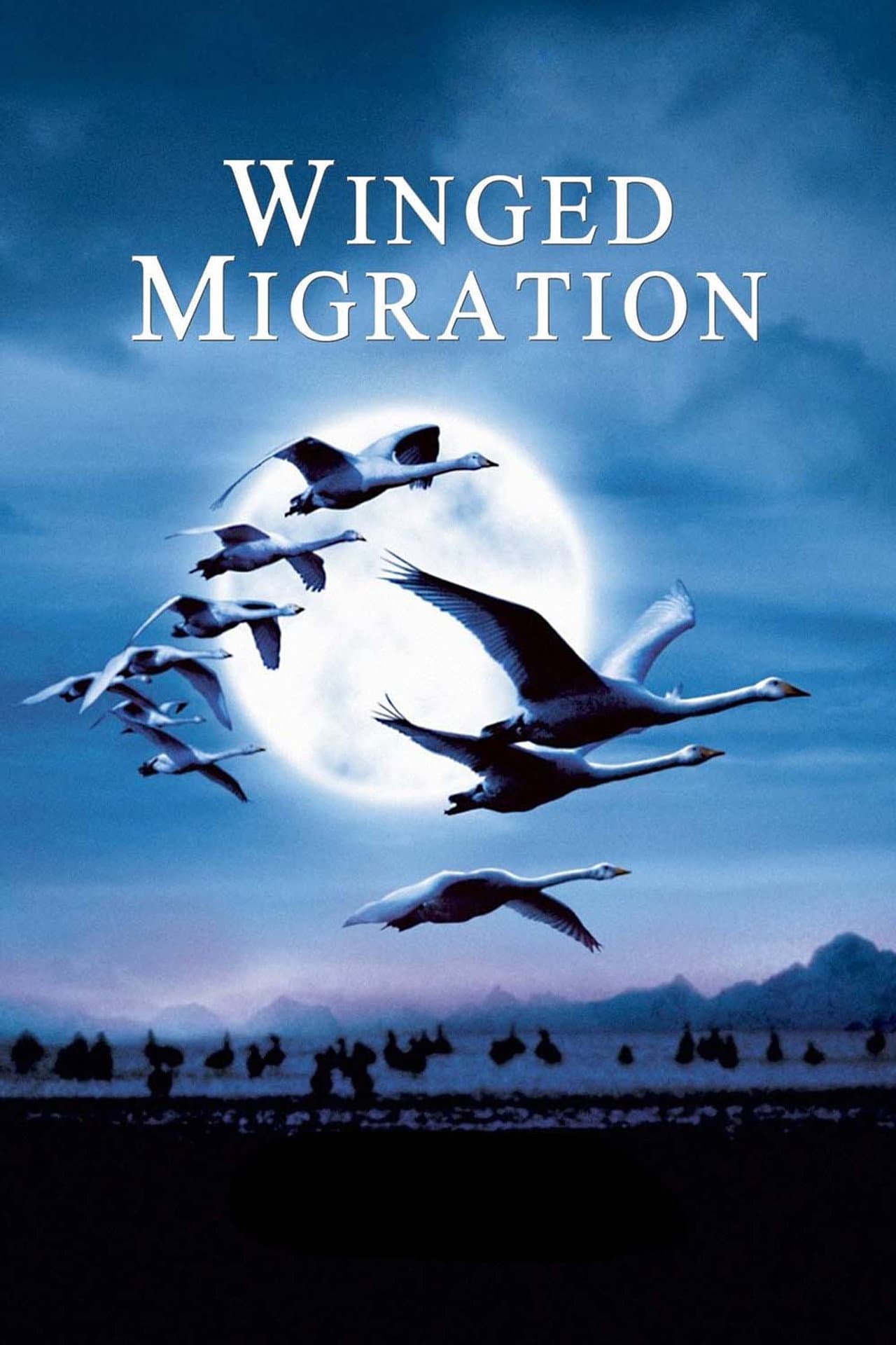 Winged Migration preview 2