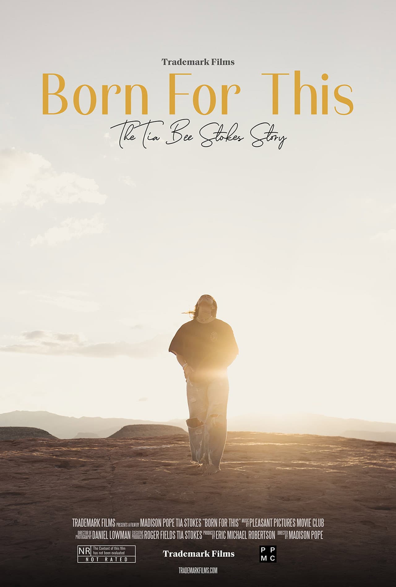 Born For This: The Tia Bee Stokes Story preview 2