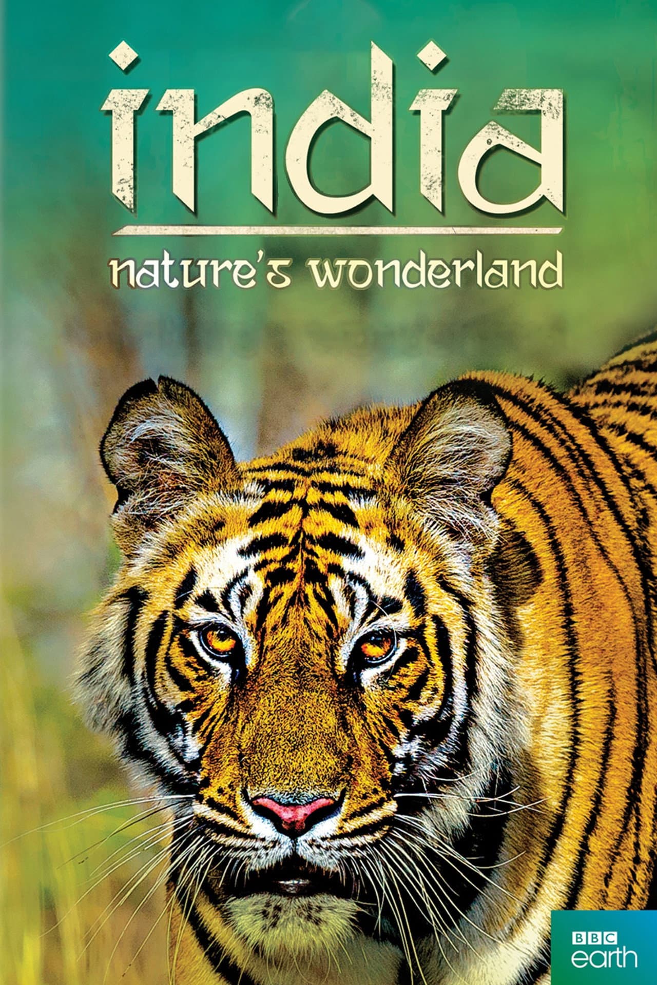 India: Nature's Wonderland preview 2