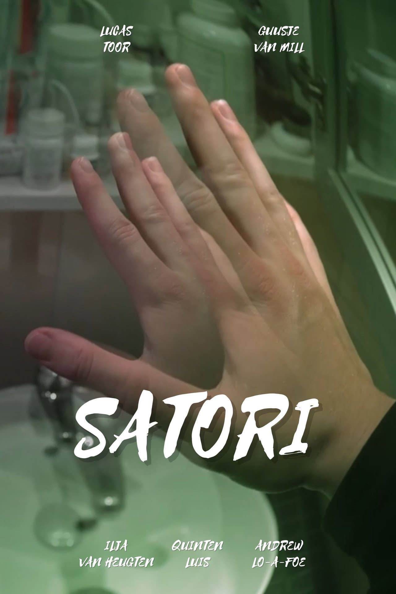 Satori preview 2