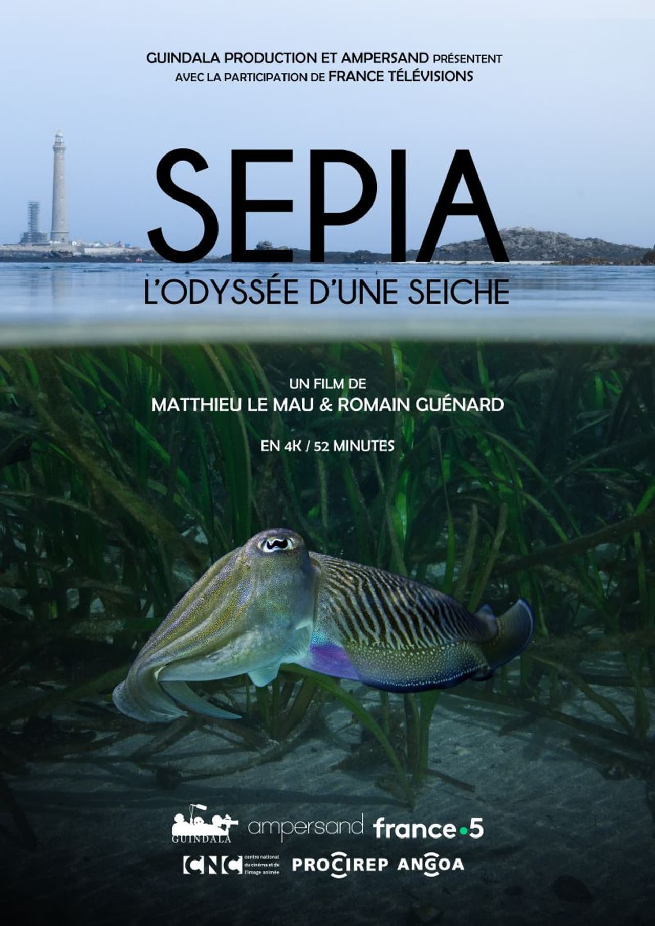 Sépia, l'odyssée d'une seiche preview 2