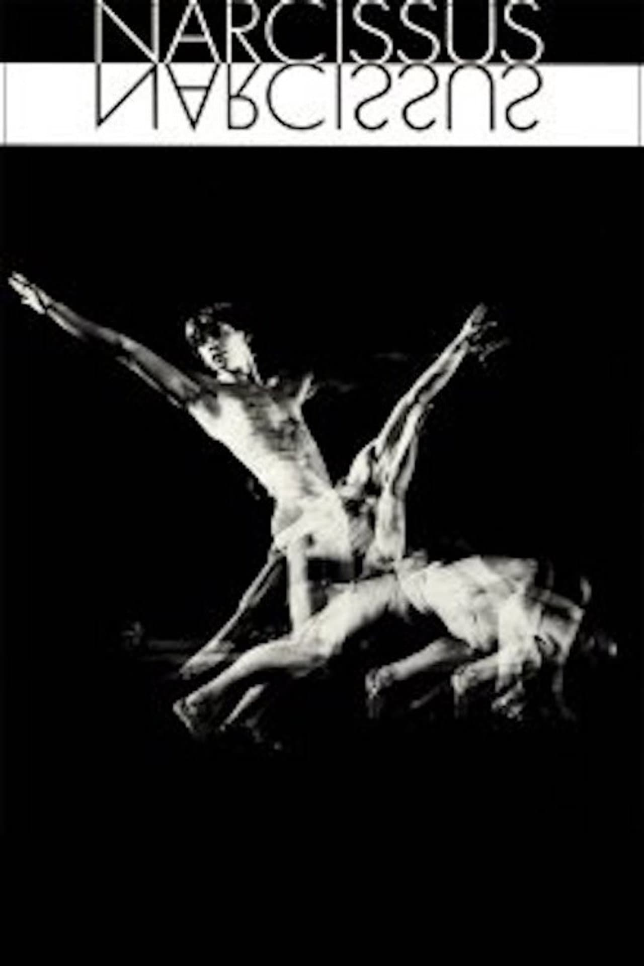 Narcissus preview 2