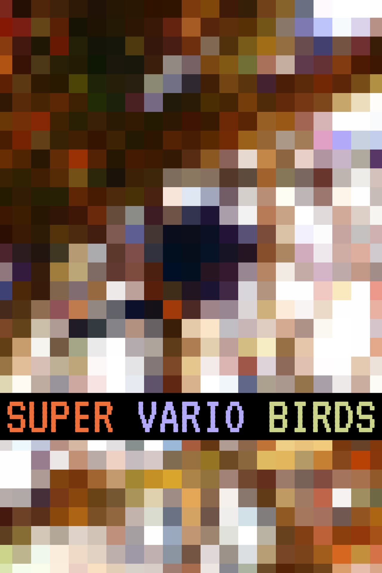 Super Vario Birds preview 2