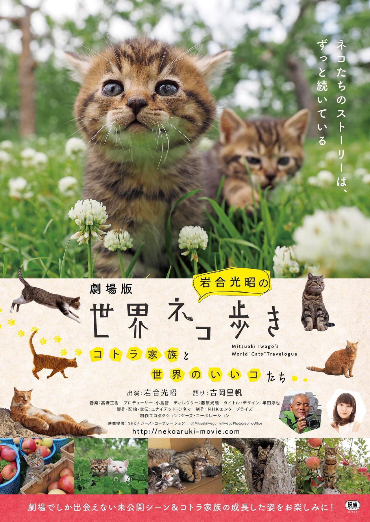 Mitsuaki Iwago's World “Cats” Travelogue preview 2