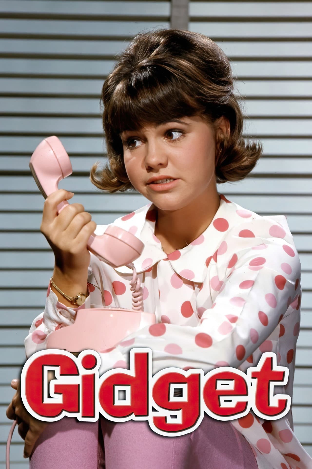 Gidget preview 2