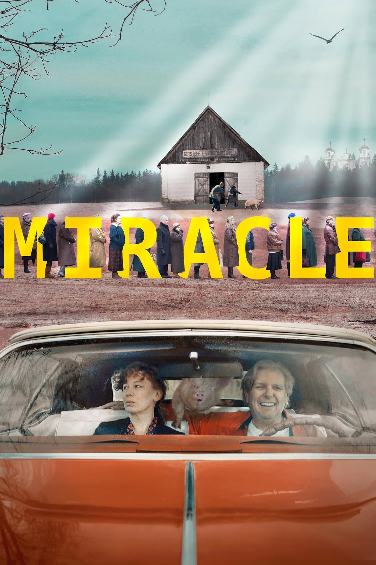 Miracle preview 2