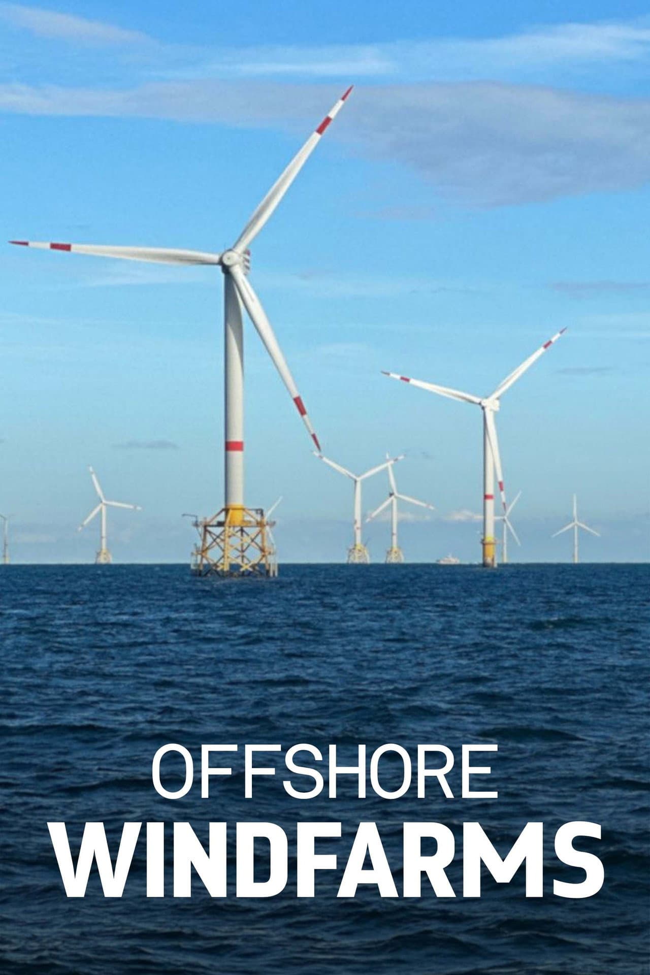 Windparks im Meer - Chance oder Risiko für die Natur? preview 2