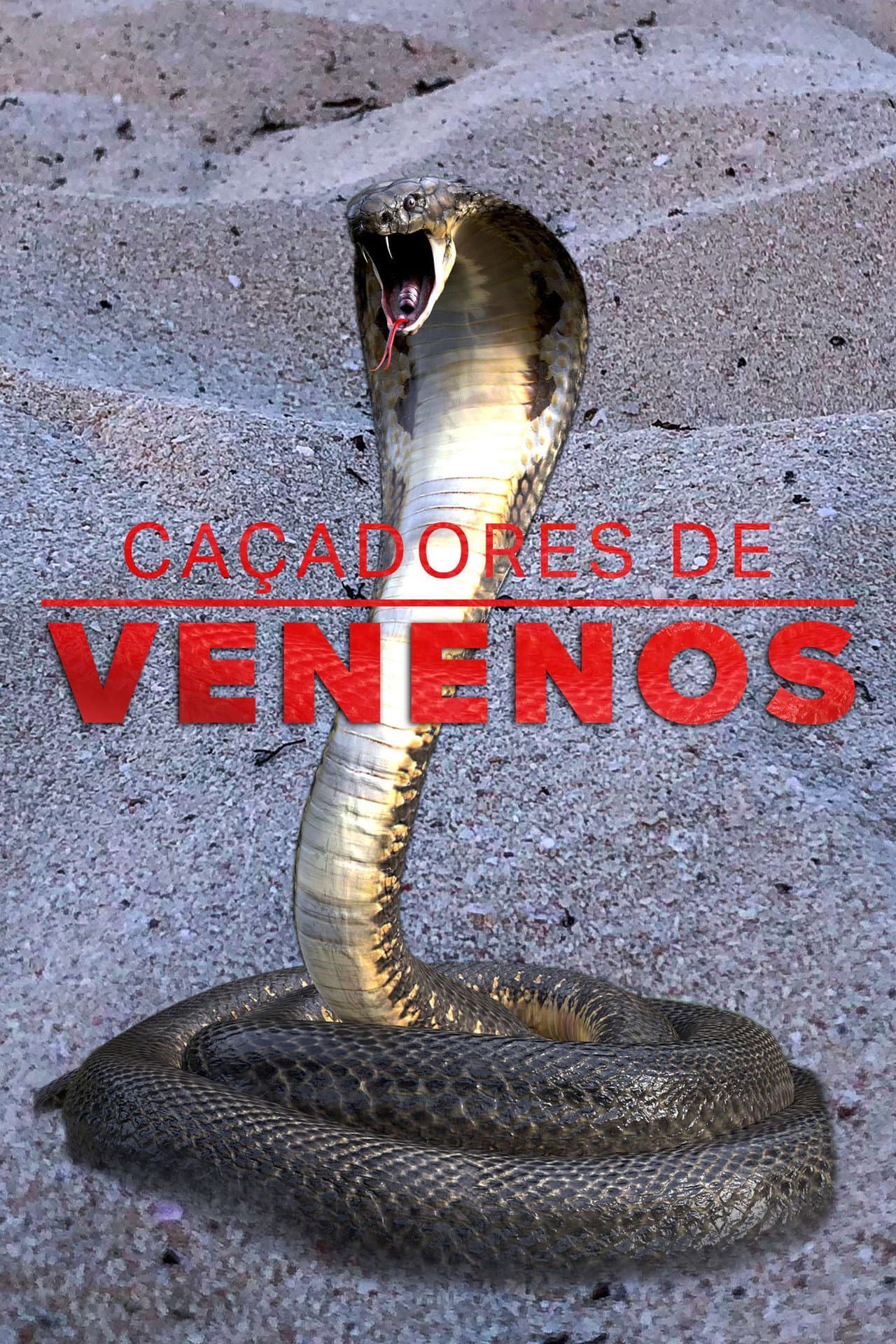 Venom Hunters preview 2