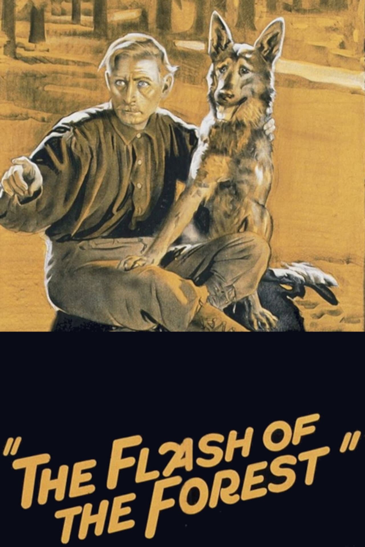 The Flash of the Forest preview 2