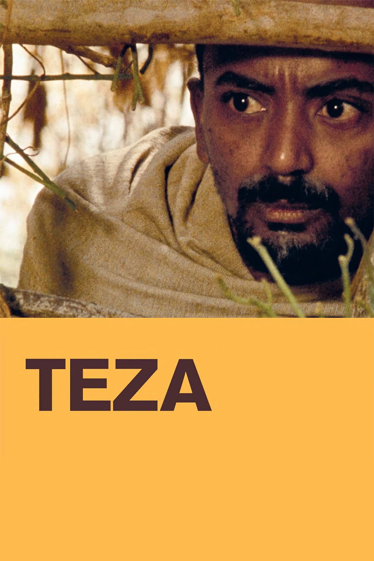 Teza preview 2
