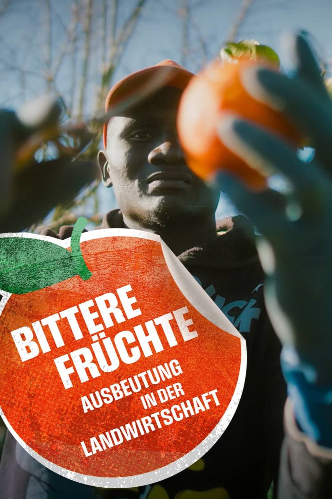 Bittere Früchte - Ausbeutung in der Landwirtschaft preview 2