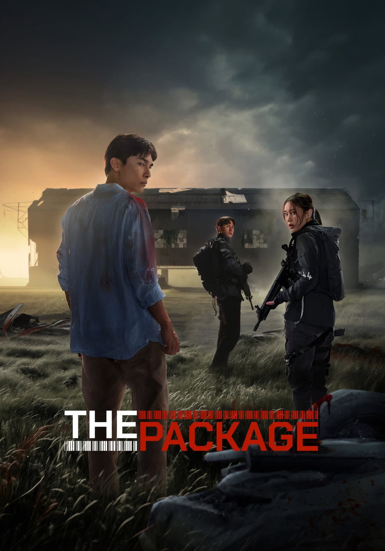 The Package preview 2