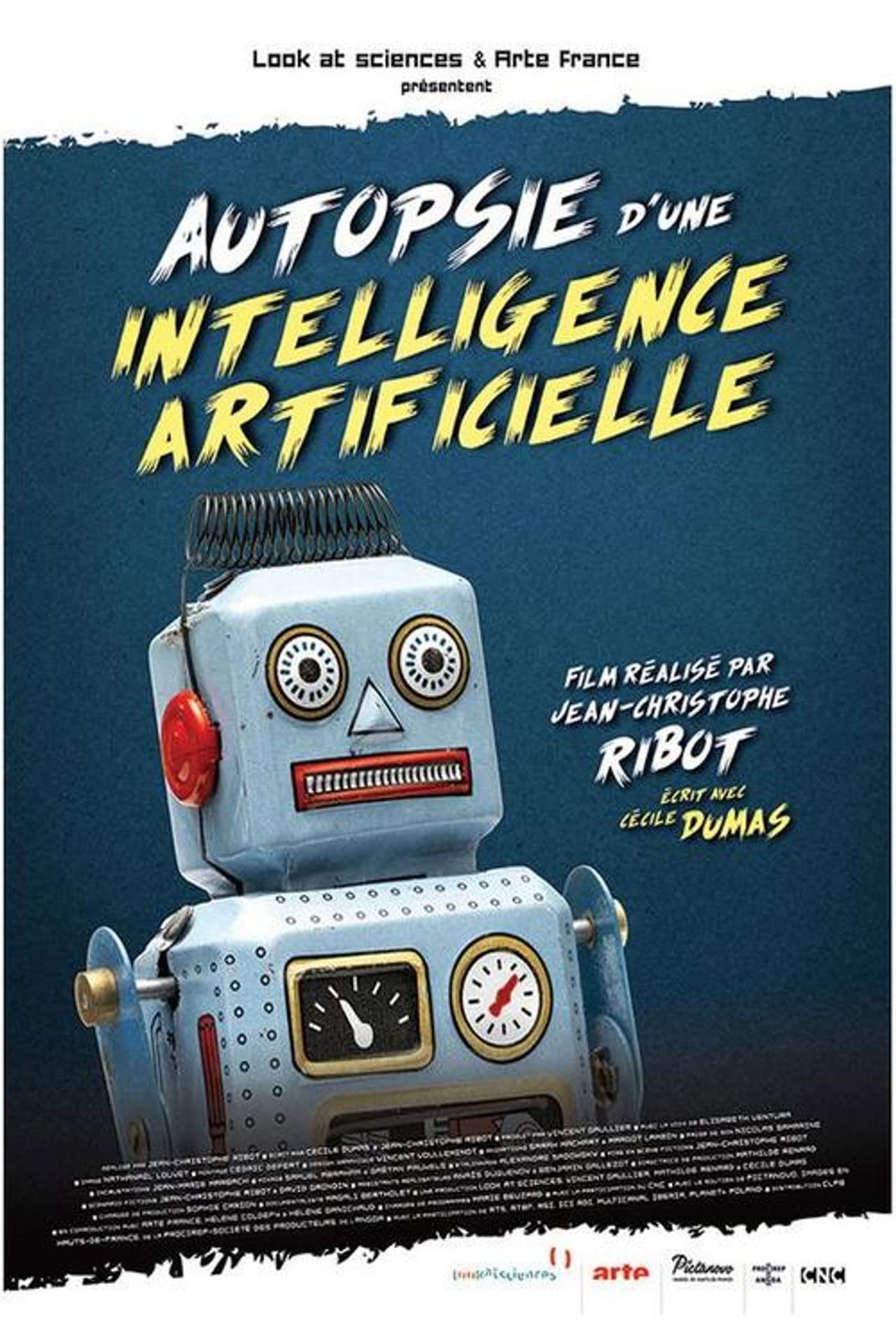 Autopsie d'une intelligence artificielle preview 2