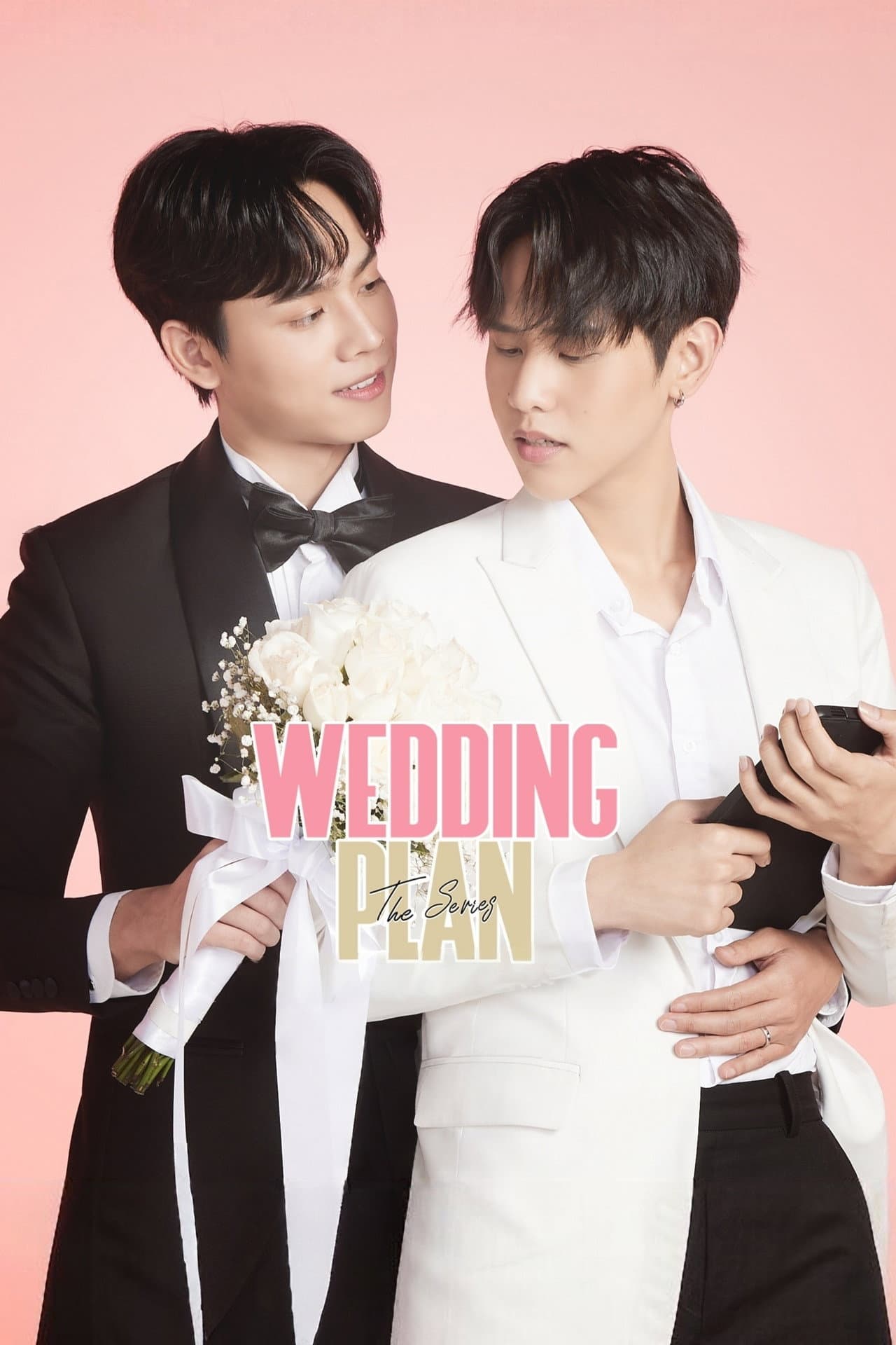 Wedding Plan preview 2