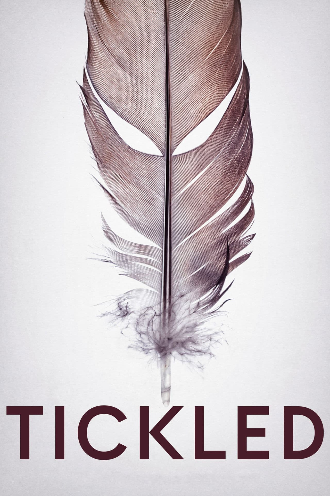 Tickled preview 2