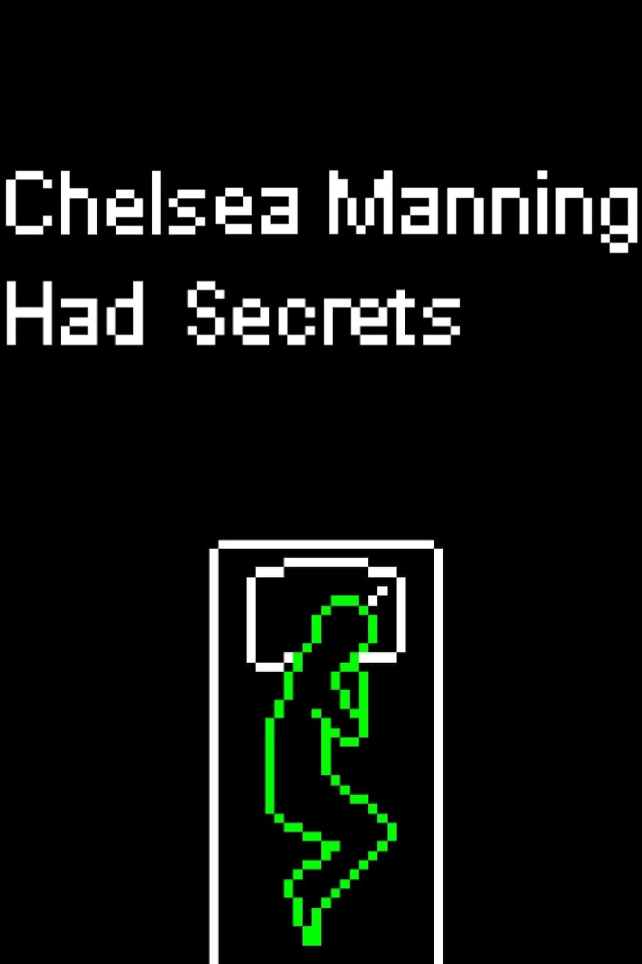 Chelsea Manning Had Secrets preview 1