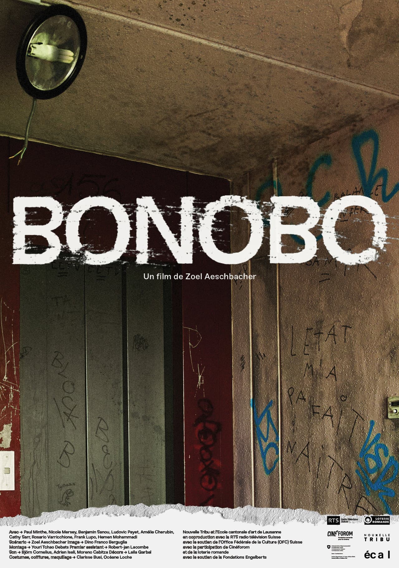 Bonobo preview 2