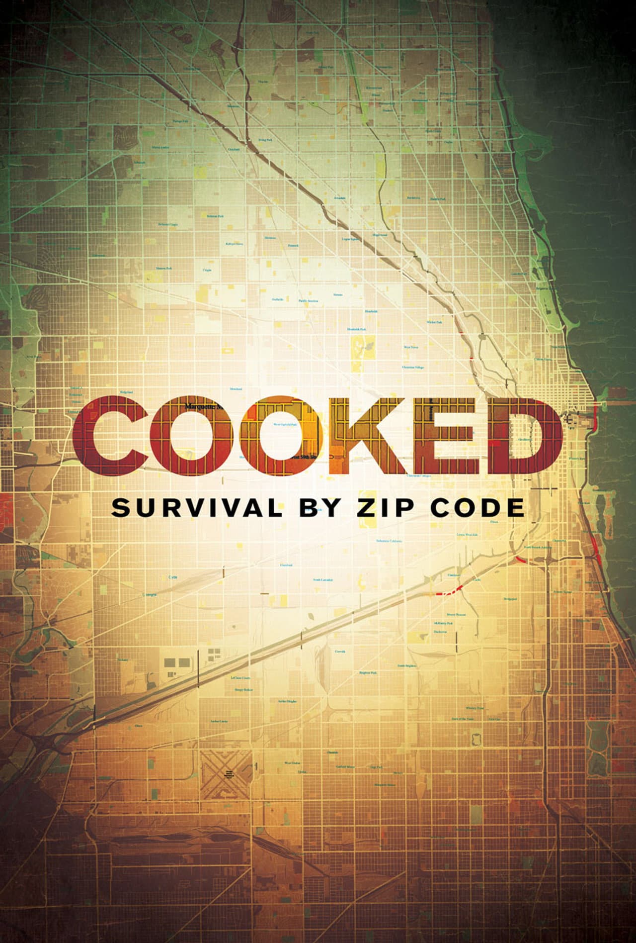 Cooked: Survival by Zip Code preview 2