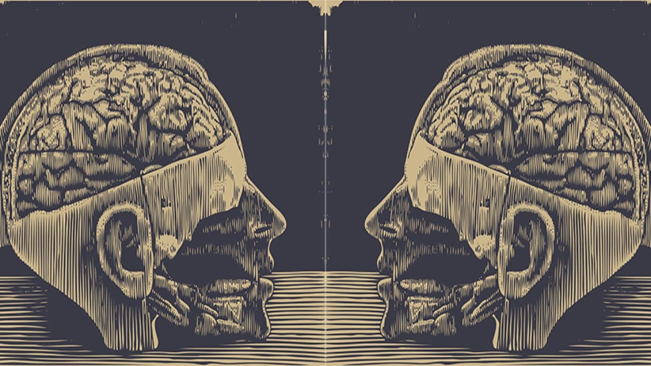 Lobotomy, or the Blinding Creation of Moniz