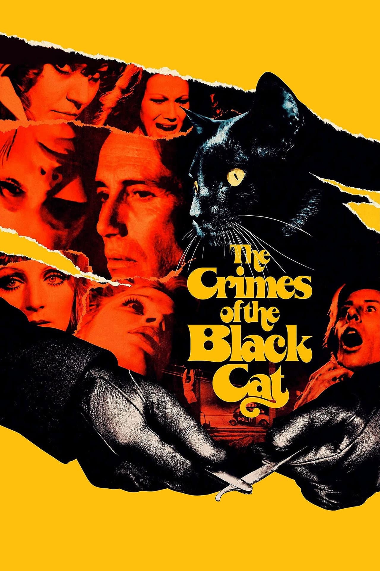 The Crimes of the Black Cat preview 2