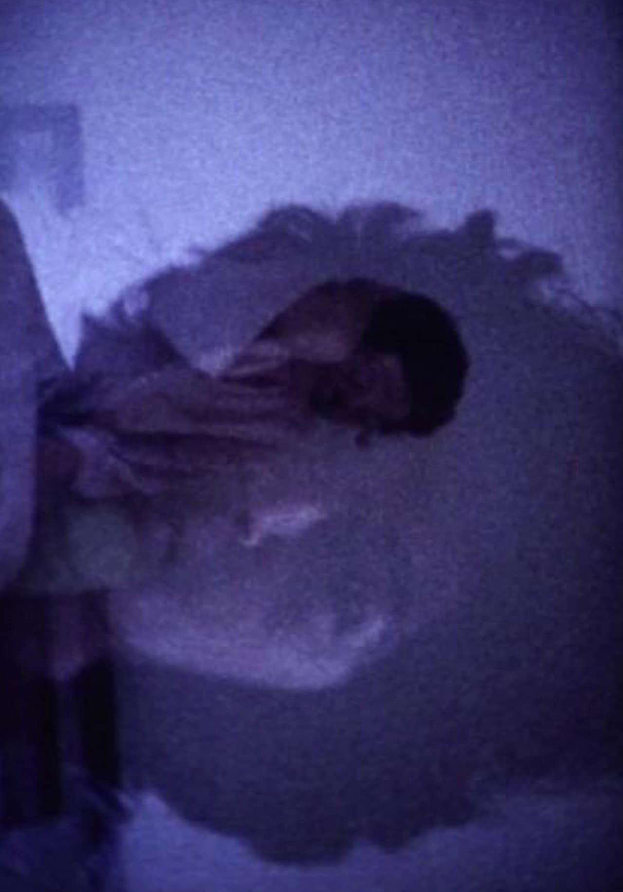 Vukica Djilas  – Home Movies preview 1
