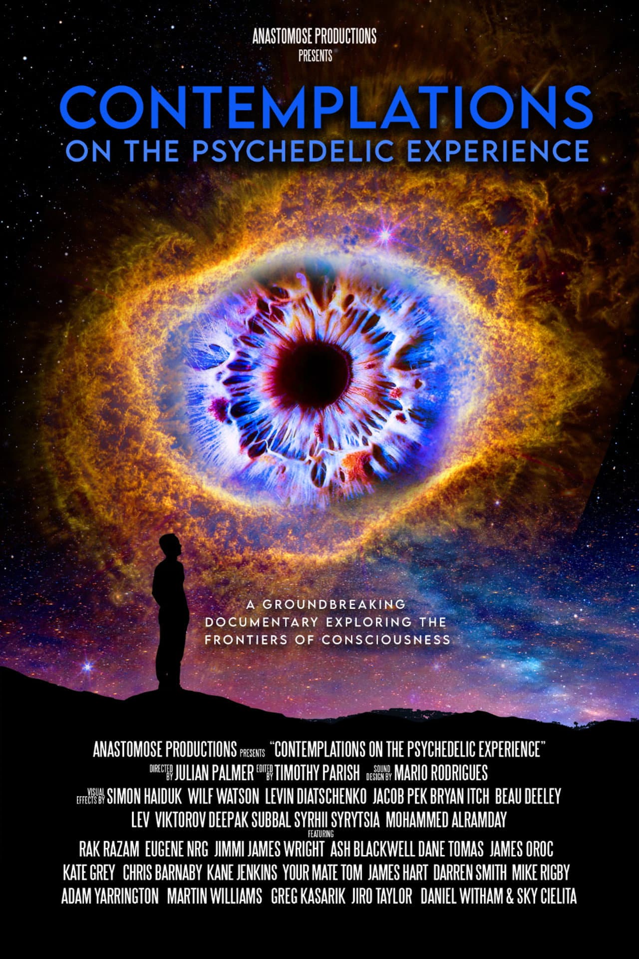 Contemplations: On the Psychedelic Experience preview 1