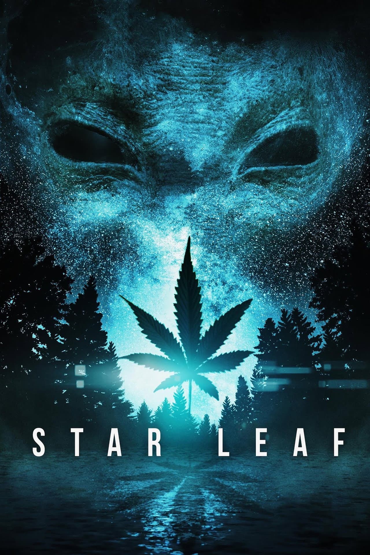 Star Leaf preview 2