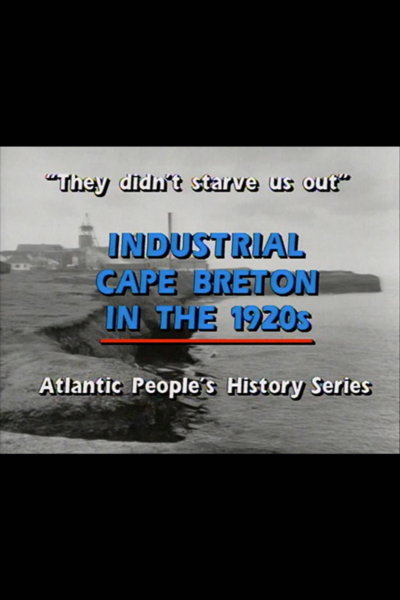 "They Didn't Starve Us Out": Industrial Cape Breton in the 1920s preview 2