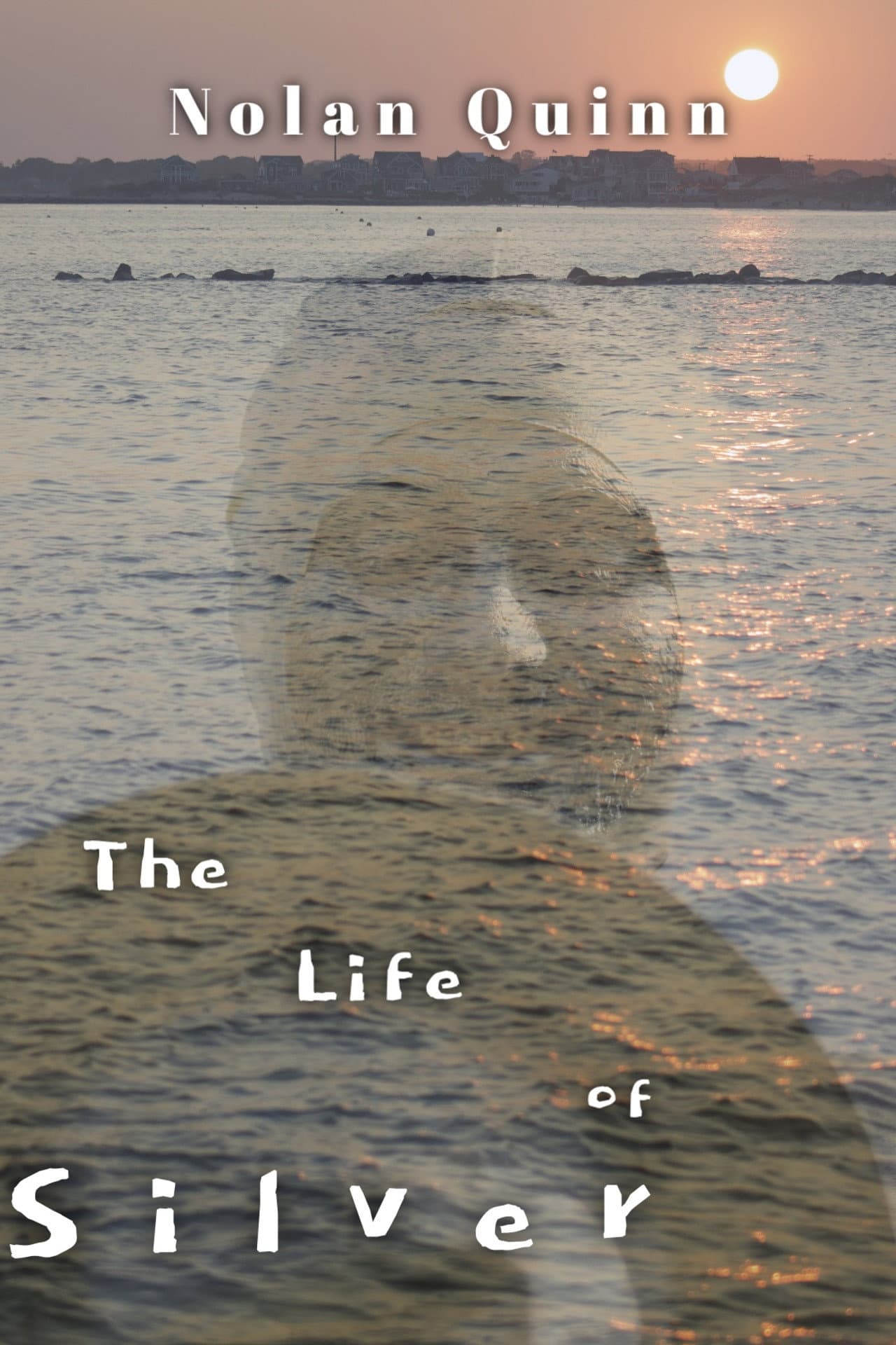 The Life of Silver preview 1