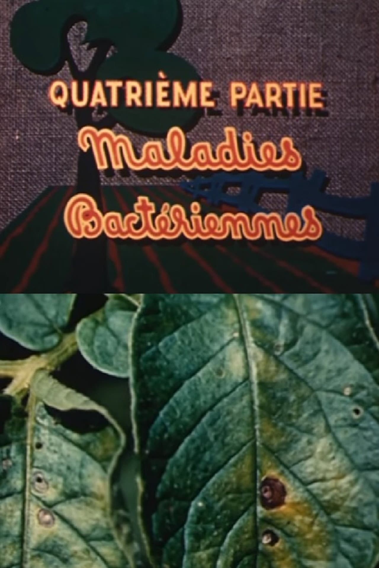 The Enemies of the Potato: Bacterial Diseases preview 1