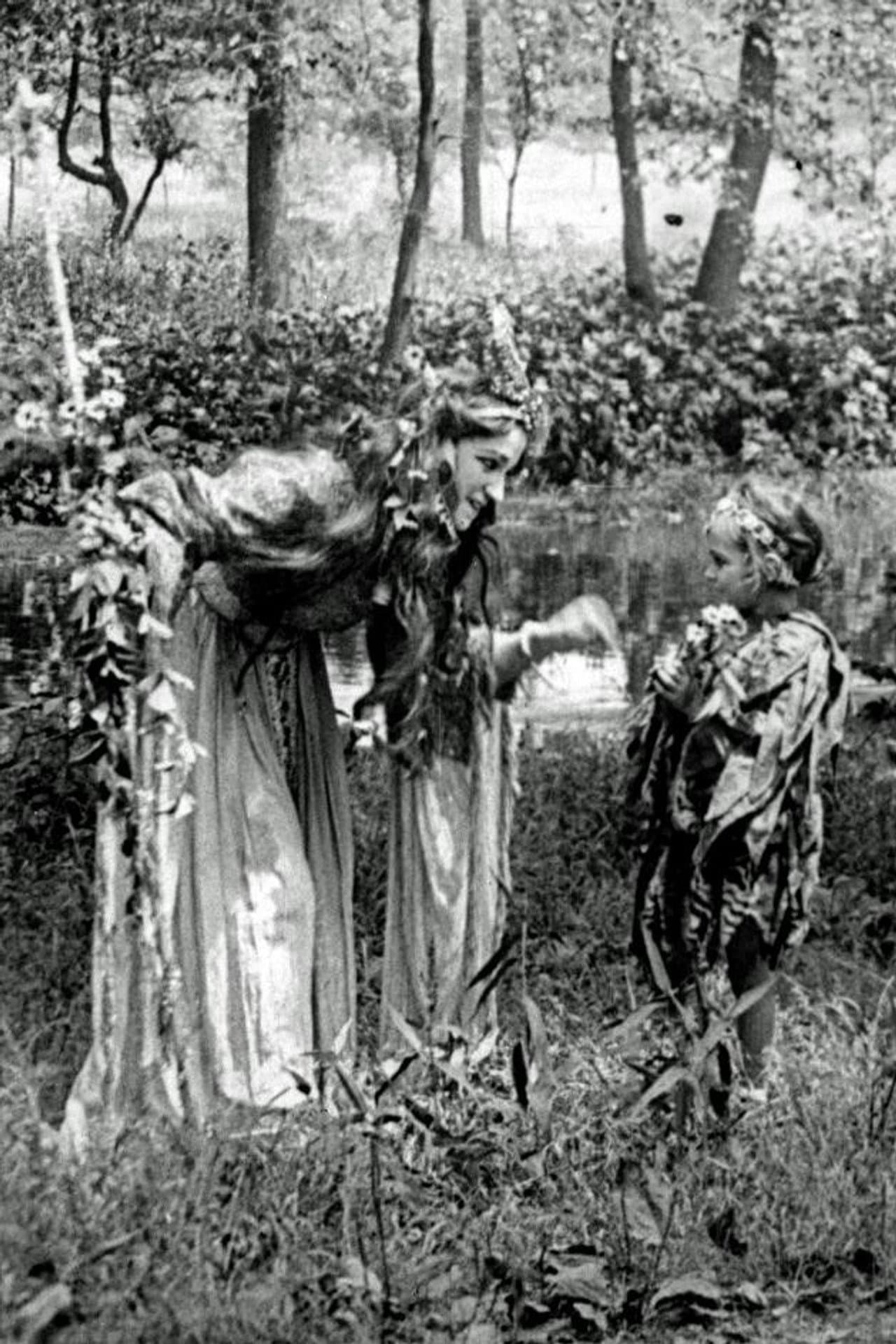 A Midsummer Night's Dream preview 1
