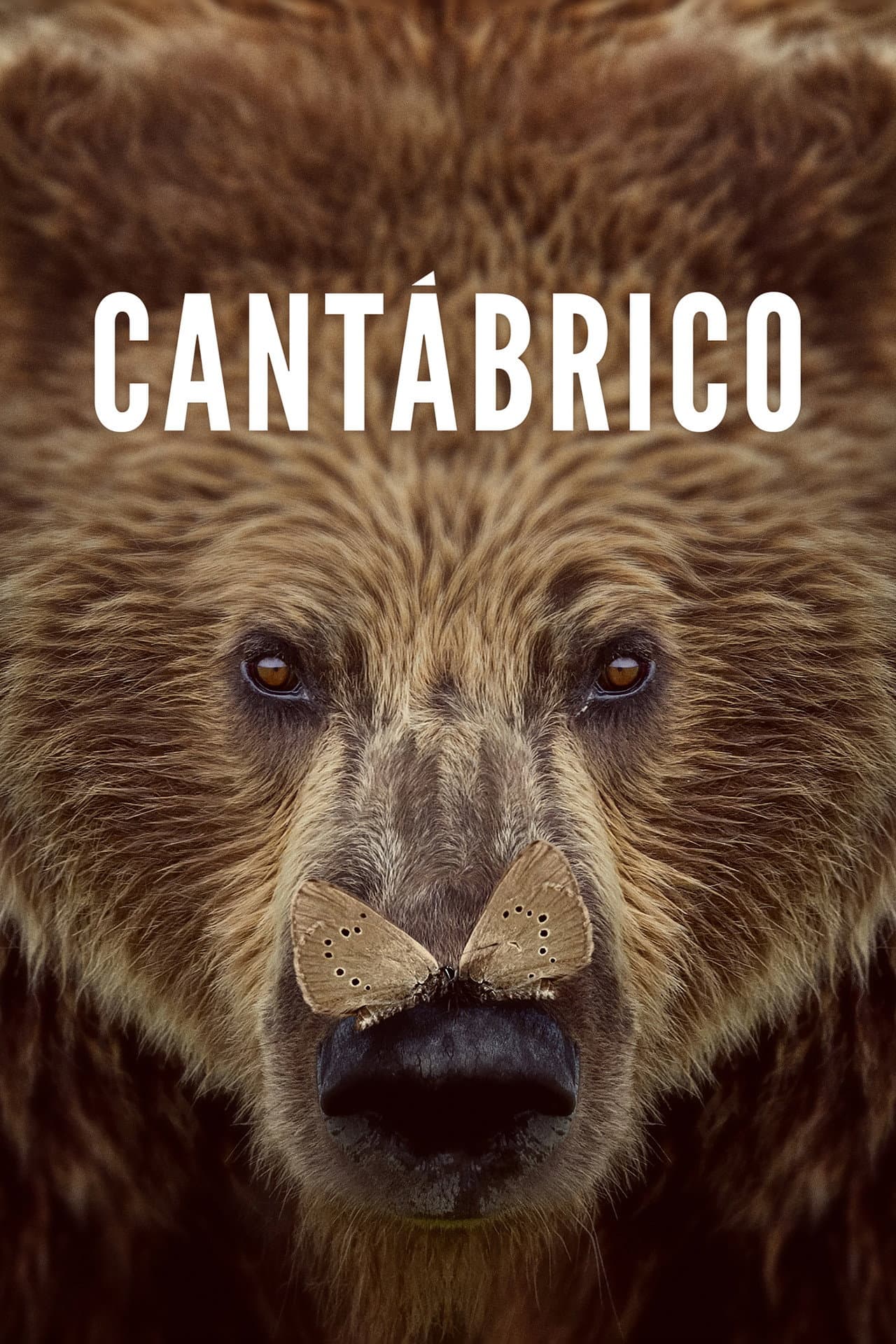 Cantábrico preview 2