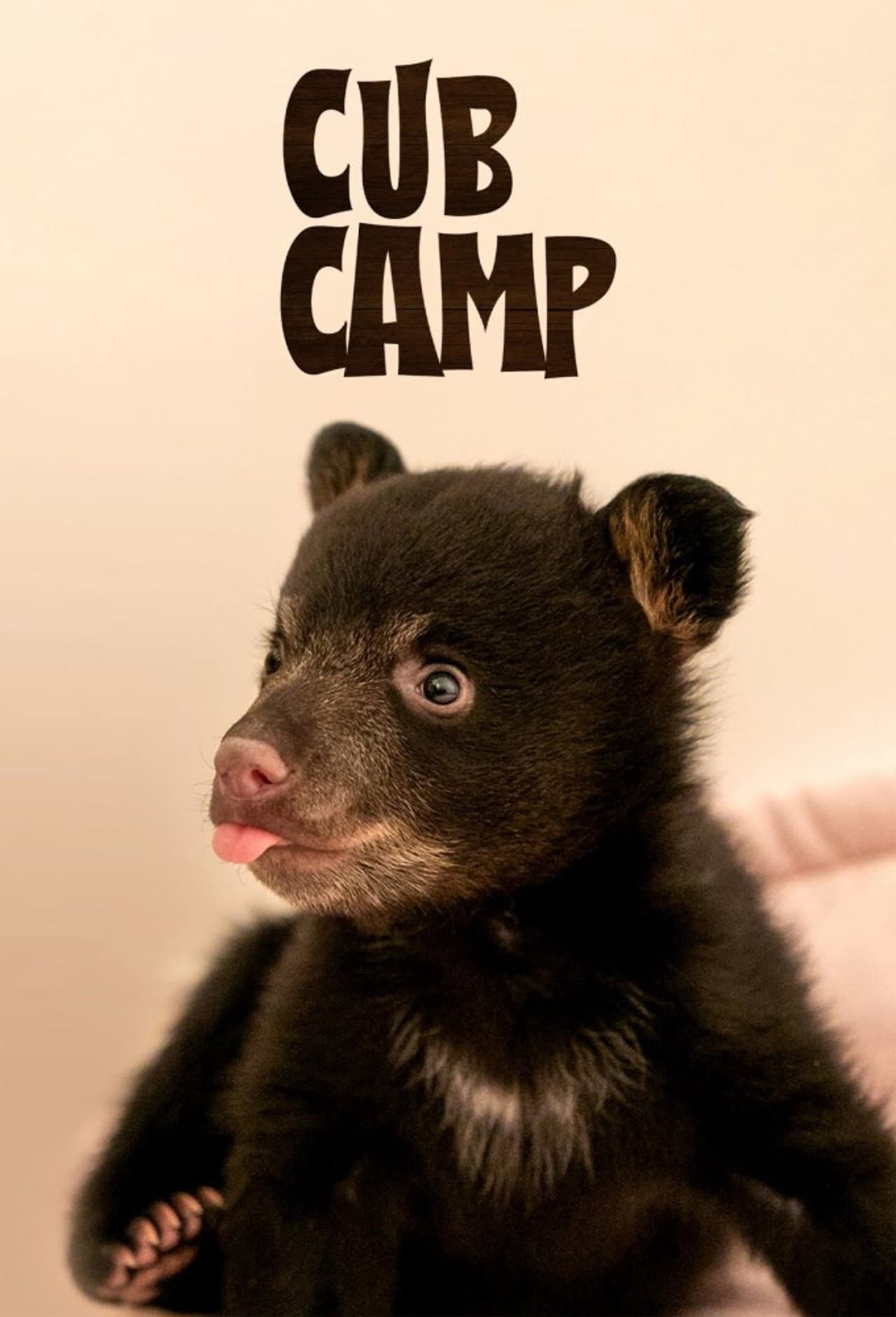 Cub Camp preview 2