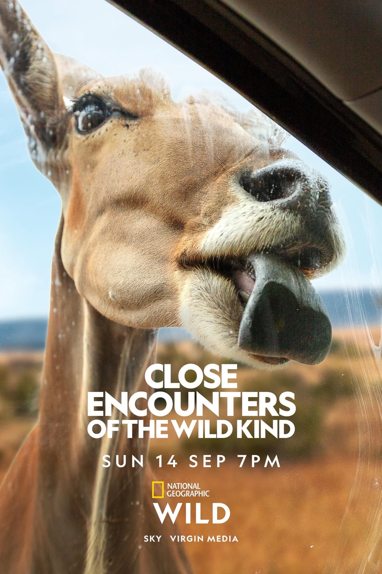 Close Encounters of the Wild Kind preview 2