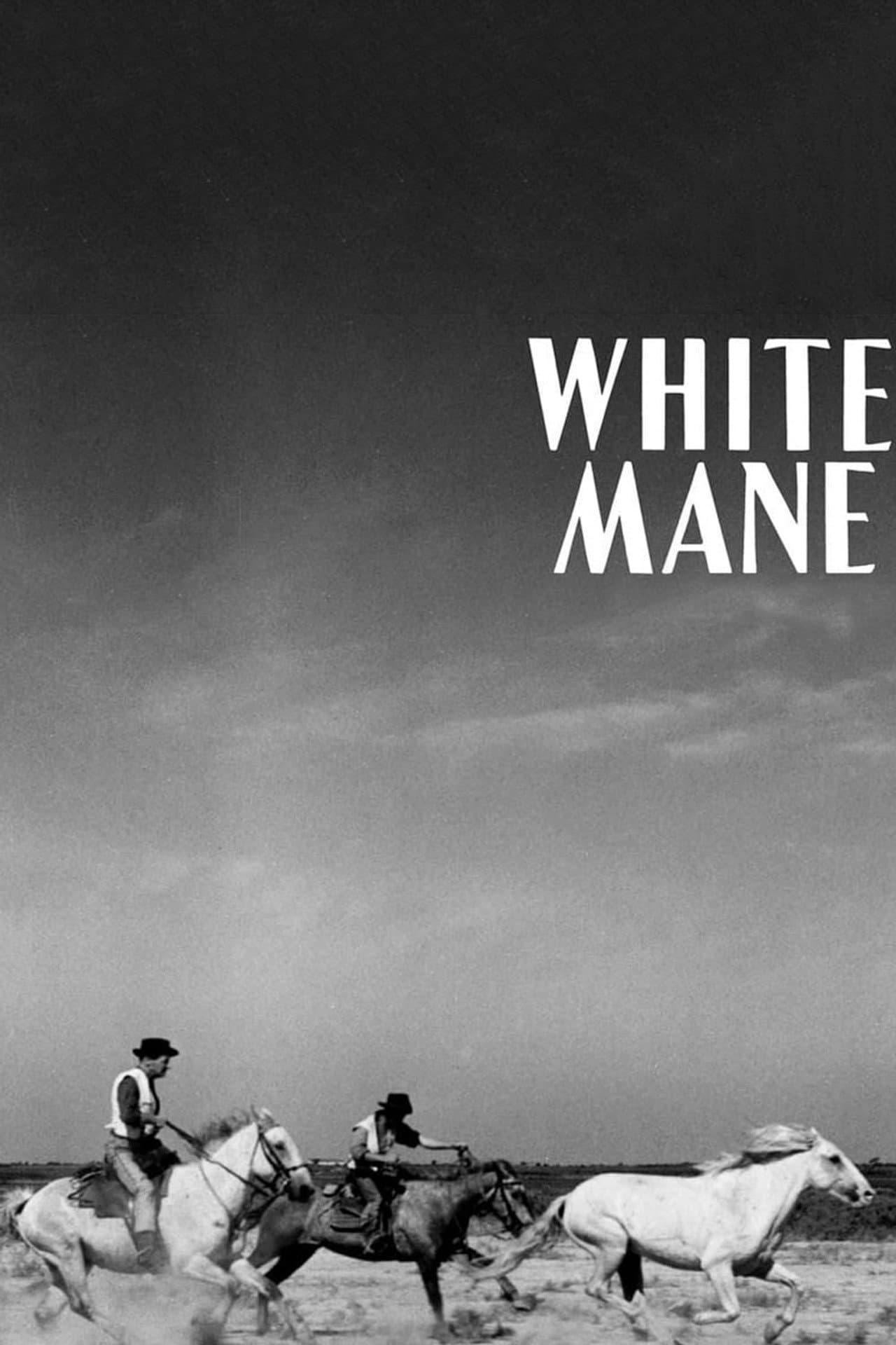 White Mane preview 2